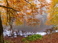 111027 Zweden herfst IMG 2236  Nationaal Park Söderåsen : Europa, NP Soderasen, Reisen, Skane, Zweden, europa